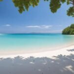 Praias desertas em Alagoas fora de Maceió que você precisa conhecer