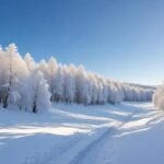 Onde ver neve no RS além de Gramado: Descubra outros destinos incríveis