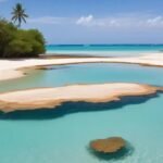 Piscinas naturais de Maragogi: um paraíso em meio à natureza