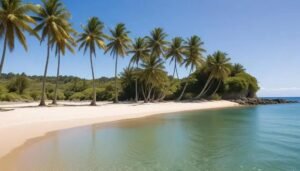 O que fazer em São Miguel dos Milagres: um guia imperdível para a sua viagem