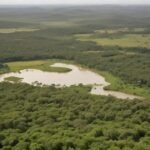 Pacotes de viagem para o Amapá: descubra destinos incríveis e experiências únicas