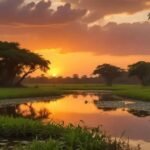 Turismo no Mato Grosso do Sul: Descubra os encantos e segredos locais