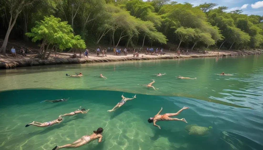 Atividades imperdíveis na região