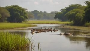 Pacotes de viagem para o Pantanal: descubra os melhores destinos em 2025