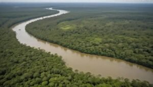 Roteiro de viagem Pará: descubra os encantos da Amazônia brasileira