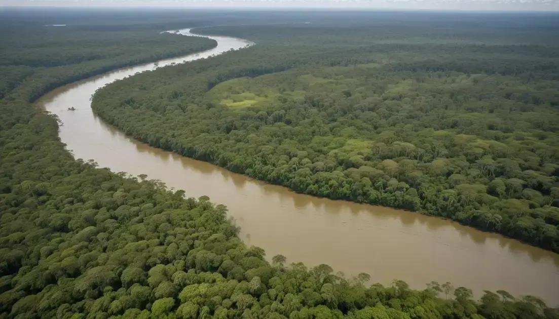 Roteiro de viagem Pará: descubra os encantos da Amazônia brasileira